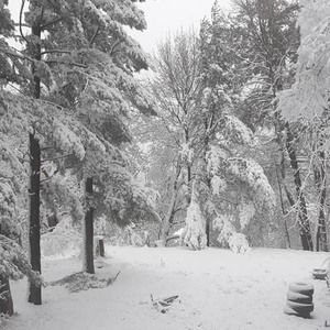 Meet your Posher, Holly